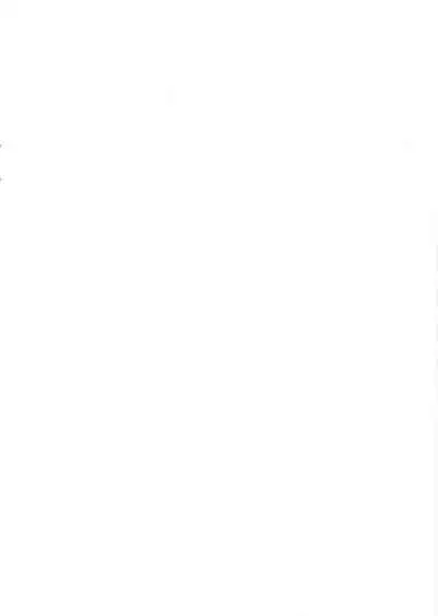 Yoru no Tobari ga Akeru made