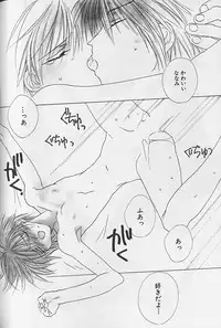 [Sakura Ashika] Himitsu No Kemonotachi