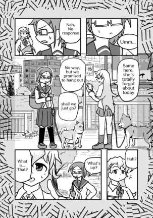 Henka-kei-bo TF Account book