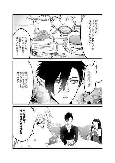 Seijo-chan wa Kichiku Kyuuketsuki no Inran Choukyou ni Zettai Makenai!