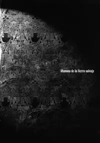 [Yamamoto Hiroshi x Tamakoshi Hiroyuki] Makyo no Shanana Vol.02 [RAW]