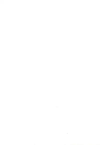 (Nanoha Festival 2) [Gungnir (Mugichamaru)] Mekariru Uisshushu (Mahou Shoujo Lyrical Nanoha)