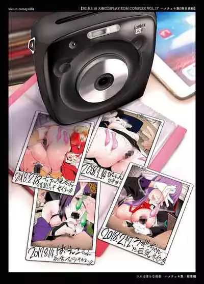 Cosplayer Hame Cheki Shuu:Soushuuhen