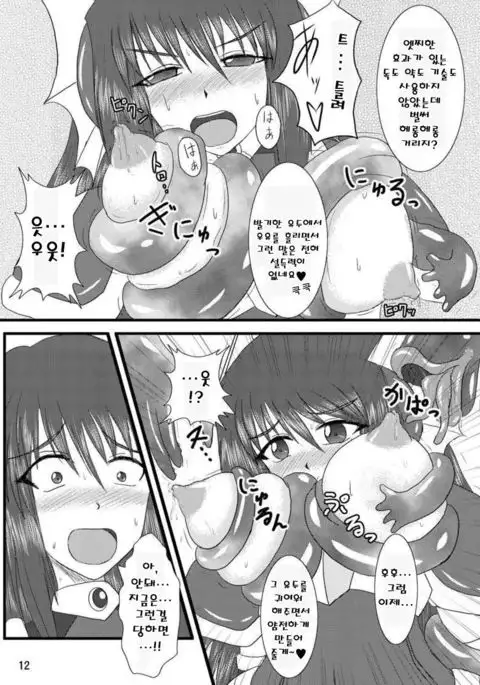 Shield Knight Elsain Vol.2 "Nightmare Agitator