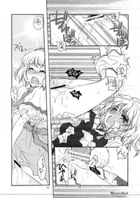 (C74) [Shoujo Zukin (Hatomugi Munmun)] Marecollect (Touhou Project)