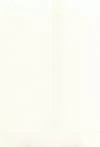 [Nagashima Chosuke] Sakuradoori no Megami - The Venus of SAKURA St. 1