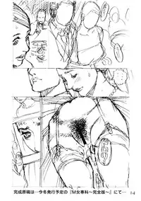 (C74) [Dennou Yamasakigumi (Izayoi Seishin)] M Onna Senka - Chikako Futatabi...