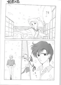 [Kotatsuya (Tatsuneko)] SAILORS EX VERSION (Bishoujo Senshi Sailor Moon)