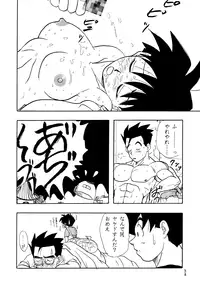 (C49) [Chirigami Goya, Fusuma Goten (Shouji Haruzo)] Z (Dragon Ball Z)