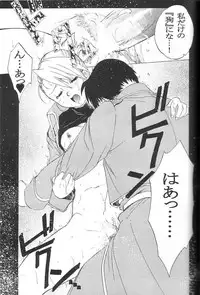 (C65) [Toko-ya (HEIZO, Kitoen)] Taisatyui (Fullmetal Alchemist)