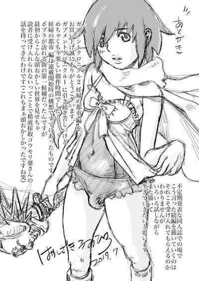 Gabment Chronicle 2 Ninpu no Toshi Hen