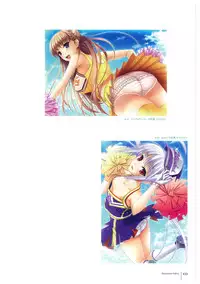 Walkure Romanze More & More Visual Fan Book