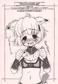 (SC19) [Circle ENERGY (Imaki Hitotose)] Mithra no Eropon (Final Fantasy XI)