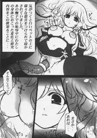 (C78) [Eucalyptus House (Minikoara)] Rebirth Project (Ragnarok Online)