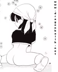 (C52) [Fusuma Goten (Shouji Hariko)] Irohani (Dragonball Z)