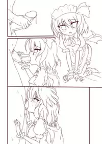 (C75) [Schwester (Shirau Inasaki) Rollin 30 (Touhou Project)