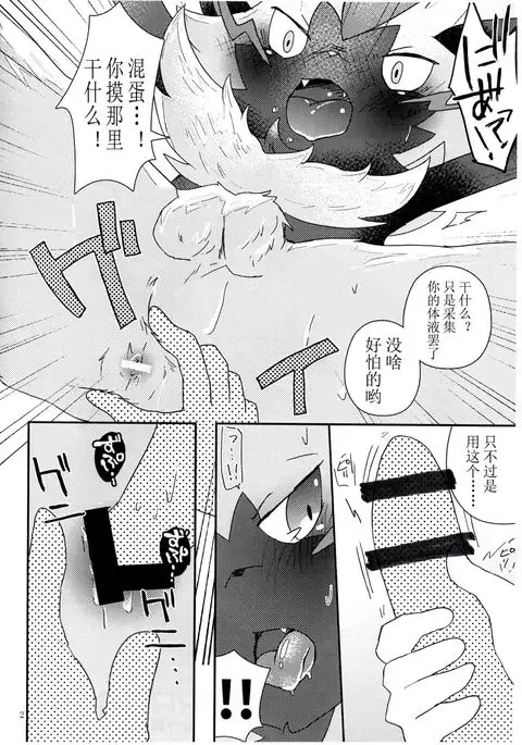 ZERAORA Toppatu File