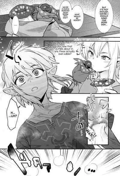 Konran Yuusha | The Legend of Link: Skyward "Sword"