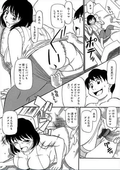 [Fujisawa Tatsuro / Mitsuru] Welcome relatives 3 [japanese]