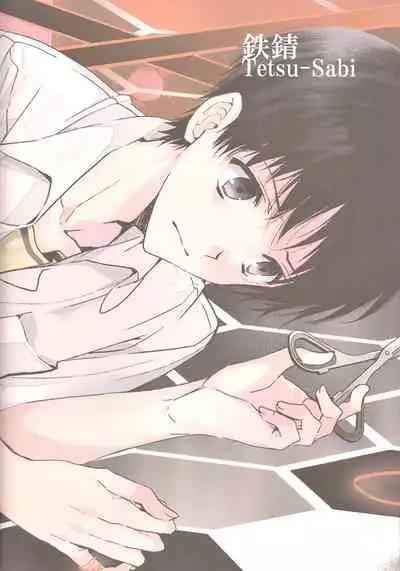 [Tetsu-Sabi (Huduki Roa)] I Can’t Hate You (Neon Genesis Evangelion) {tallvampiremommy}