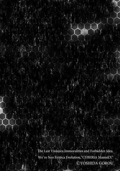 貧乳美少女ラプソディー