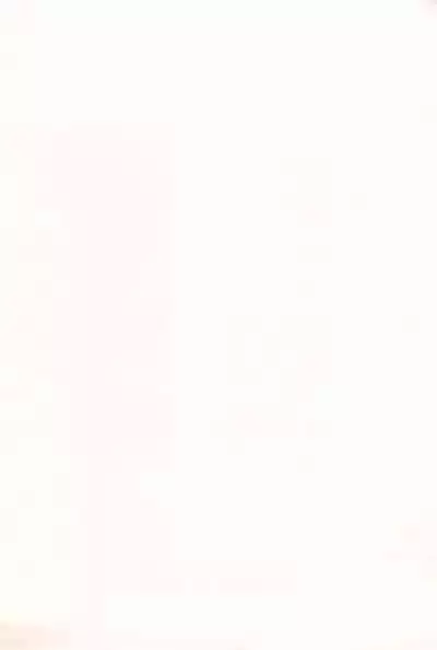 Etchina kiri kuro tte saikouda ne! !