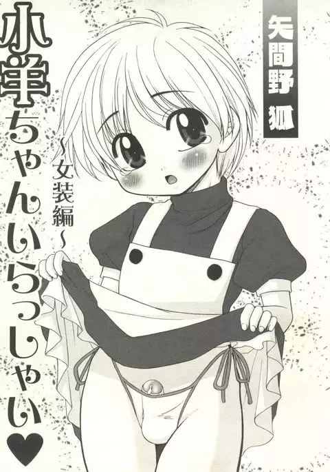 Shounen Ai no Bigaku EX - Josou Shounen -