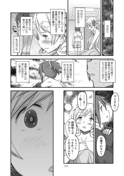 [GADGET (A-10)] Kongan Tanetsuke Koushuu Benjo (Puella Magi Madoka Magica)