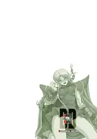 (C79) [FAKESTAR (Miharu)] DD (Record of Lodoss War)