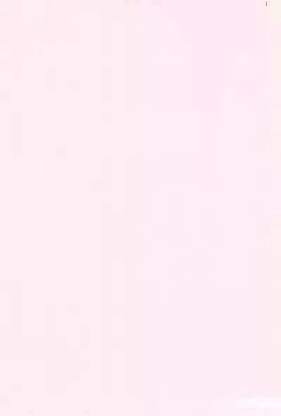 (C61) [Bokutou Kidan (Tamanoi Iroha)] OVER DRIVE (Final Fantasy)