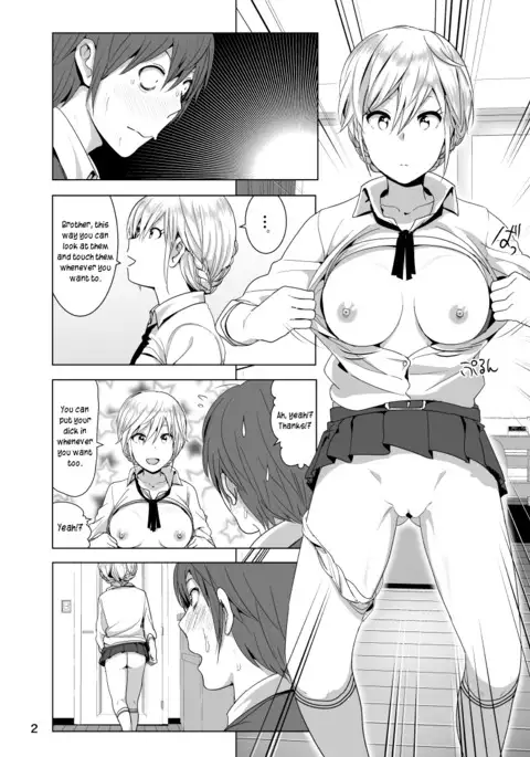 Imouto no Oppai ga Marudashi Datta Hanashi 2