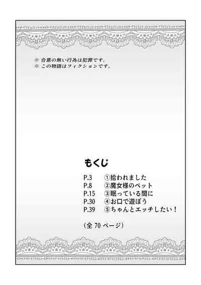 Nemutteiru Nekomimi Maido ni Ironna Koto Suru Hon