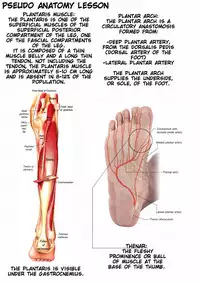 [zetubou] Ashidolm@ster (THE IDOLM@STER) [English] [SMDC] [Incomplete]