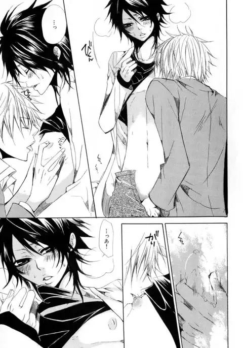 b-BOY Phoenix Vol.11 Shiroisha Tokushuu