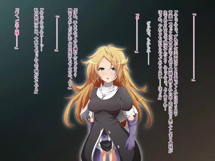 Hero Rengou Sennou Kanraku no Wana ~Battle Sister Hen~