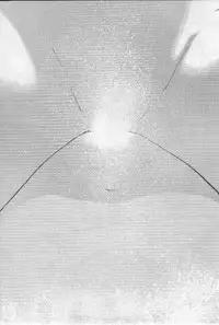 [Tanaka Yutaka] Virgin Night 2