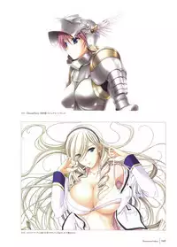 Walkure Romanze Visual Fan Book