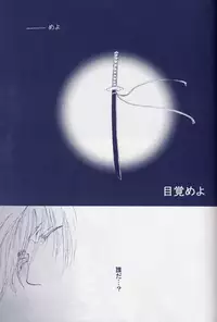 [Devil May Cry] Fragment (VergilxDante)