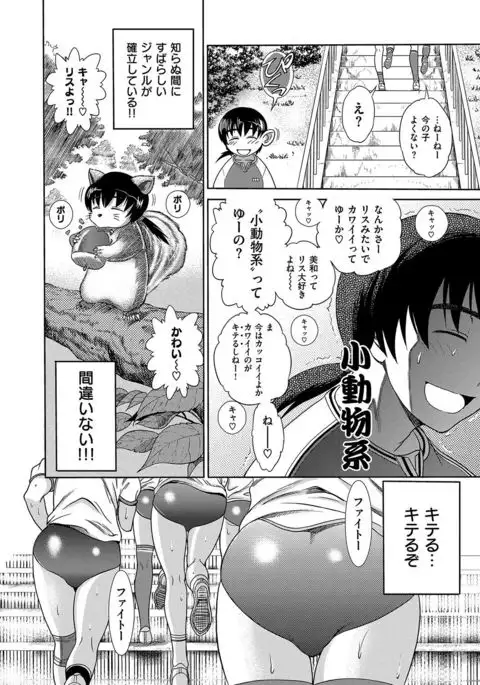 HHH Triple H Shinsouban