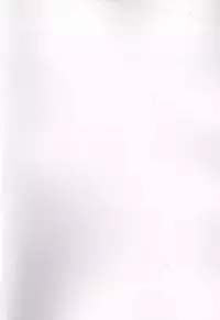 (C93) [Funi Funi Lab (Tamagoro)] MAO FRIENDS2 (Pokémon)