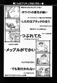 (C66) [UA Daisakusen (Harada Shoutarou)] Ruridou Gahou CODE: 24 (Futari wa Precure)