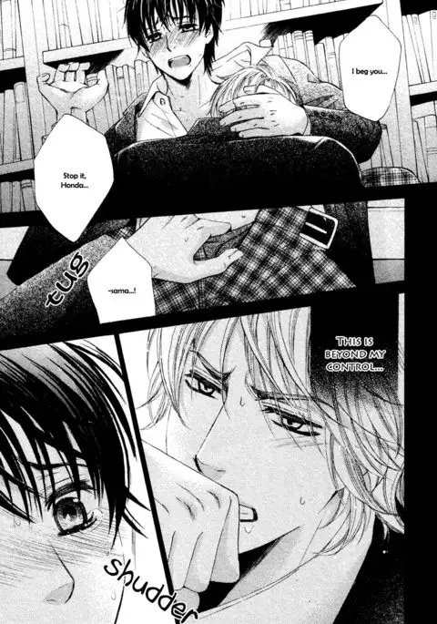 Ouji-sama ni Narenai | Can't Become the Perfect Prince