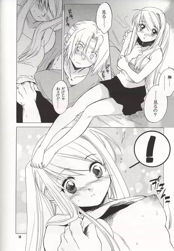 Fullmetal Alchemist - EDxWIN