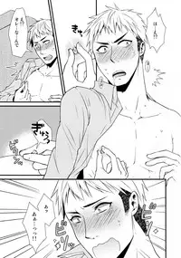 (HaruCC19) [Allegro Launcher (Kyrie Ayame)] Chikubi Ijirischtein (Shingeki no Kyojin)