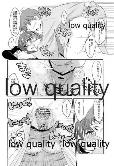 (C89) [TRIP SPIDER (niwacho)] Fuyubaori (Fate/stay night)