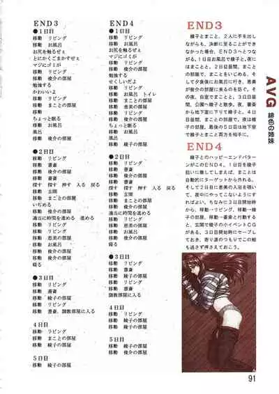 PC Bishoujo Software Strategy Book: Strategy King 2