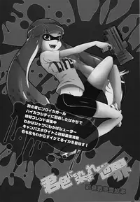 (C88) [Dogear (Inumimi Moeta)] Kimi Iro Ni Somare Sekai (Splatoon)