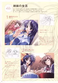 Natural 2 Duo Visual Fan Book