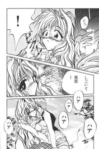 [Anthology] Input Vol. 3 - Theme Park Hen