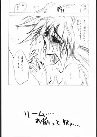 (C48) [Hightech JAPAN (Shiki Satoshi)] BMX (Various)